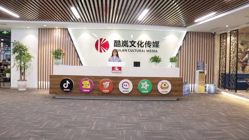 品牌设计材质分类：解析与选择指南